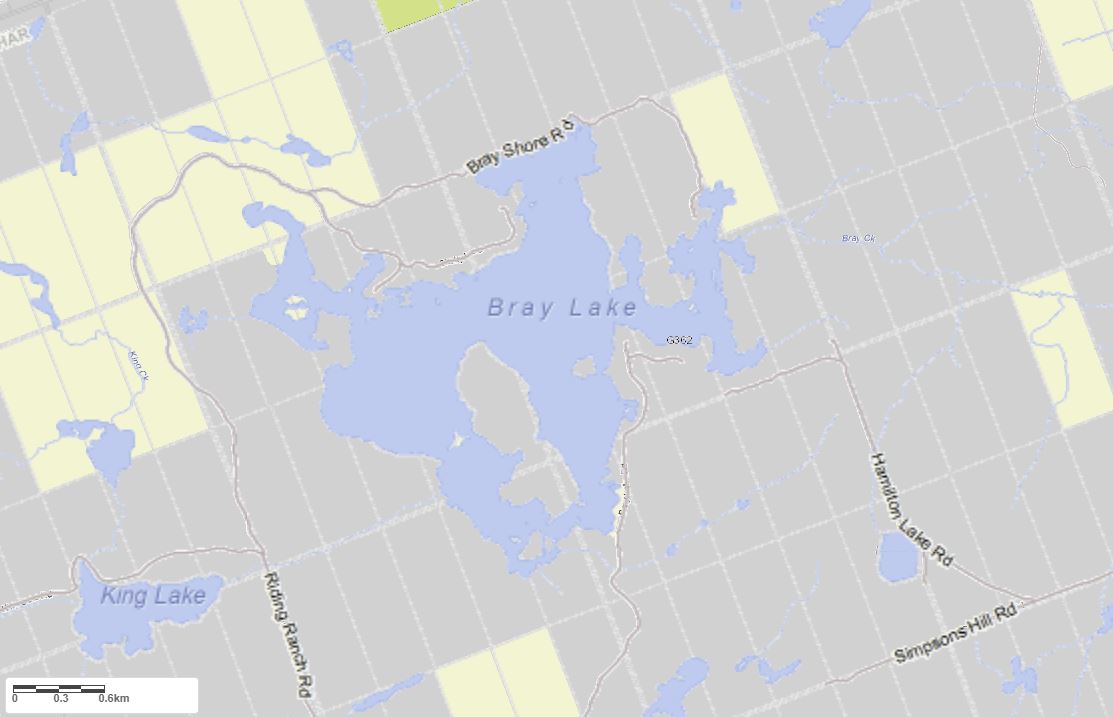 Crown Land Map of Bray Lake in Municipality of Machar and the District of Parry Sound